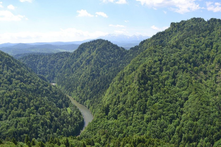 Pieniny National Park, Szczawnica, Lesser Poland, Poland